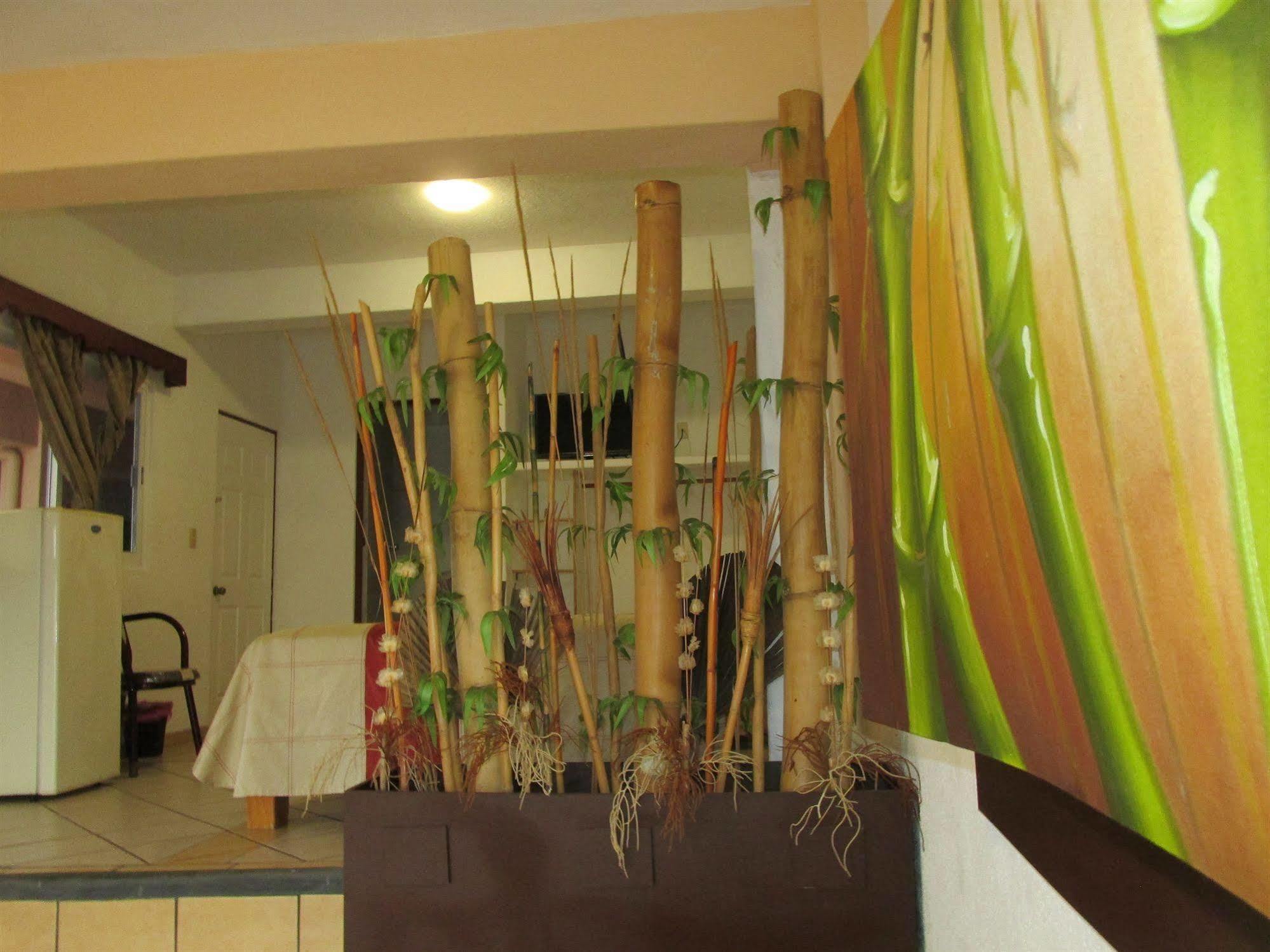 Hotel Albatros Manzanillo Zewnętrze zdjęcie